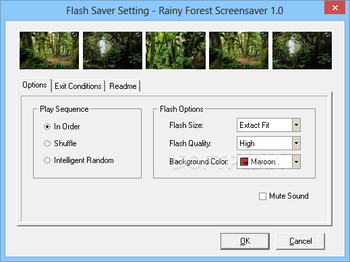 Rainy Forest Screensaver screenshot 2