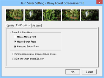 Rainy Forest Screensaver screenshot 3