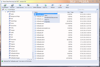 Raise Data Recovery for FAT screenshot 2