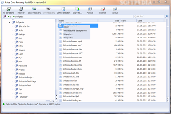 Raise Data Recovery for HFS+ screenshot 2