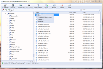 Raise Data Recovery for ReiserFS screenshot 2