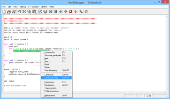 RamDebugger screenshot