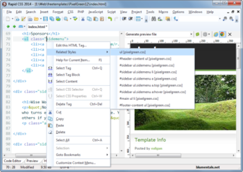 Rapid CSS 2014 screenshot 8