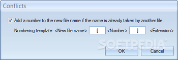 Rapid File Renamer screenshot 3