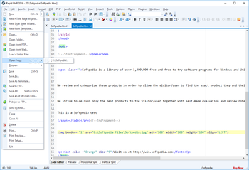 Rapid PHP Editor screenshot 2