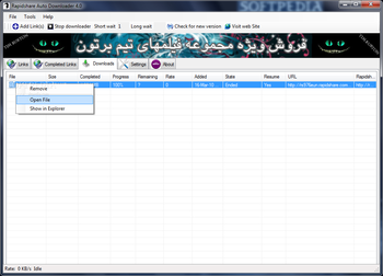 Rapidshare Auto Downloader screenshot 2