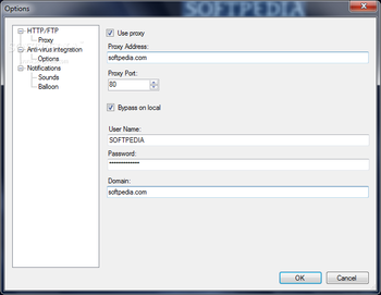 Rapidshare Auto Downloader screenshot 4