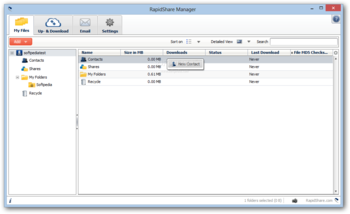 RapidShare Manager screenshot