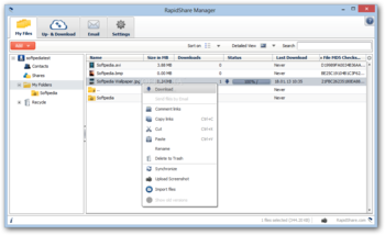 RapidShare Manager screenshot 2
