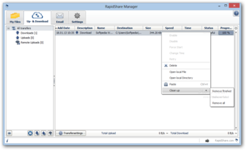RapidShare Manager screenshot 3