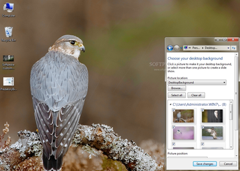 Raptors Windows 7 Theme screenshot