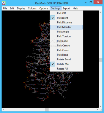 RasMol screenshot 6