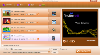 Rayfoxsoft Total Video Converter screenshot
