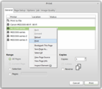 RC Print screenshot