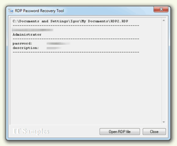 RDP Password Recovery Tool screenshot 2