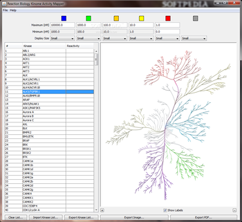 Reaction Biology Kinome Activity Mapper screenshot