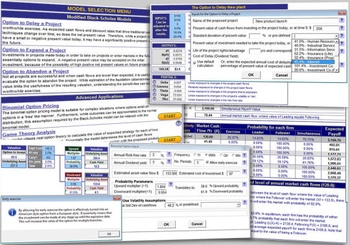 Real Options Valuation screenshot