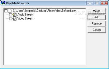 RealMedia Muxer screenshot