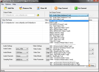 Realmedia RM RMVB Converter screenshot 2