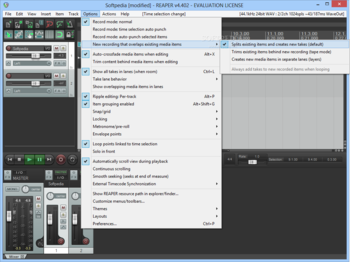 REAPER screenshot 11