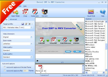 Recool SWF to MKV Converter screenshot