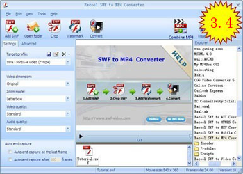 Recool SWF to MP4 Converter screenshot