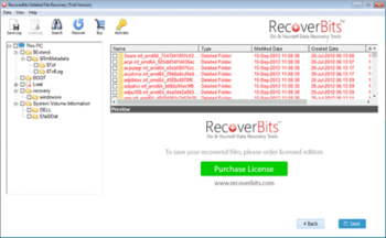 RecoverBits Deleted File Recovery screenshot