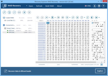 Recovery Explorer: RAID Recovery screenshot 2