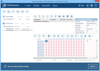Recovery Explorer: RAID Recovery screenshot 3