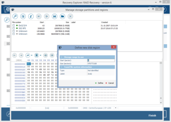 Recovery Explorer RAID screenshot 4