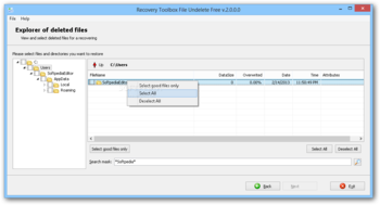 Recovery Toolbox File Undelete Free screenshot 2