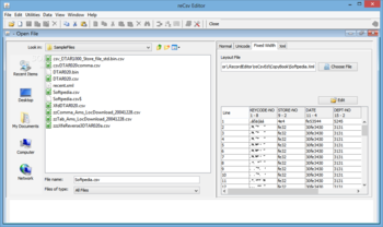 reCsv Editor screenshot 3