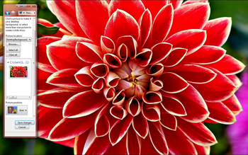 Red Dahlia screenshot