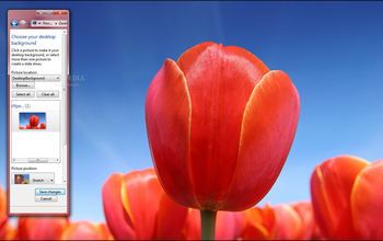 Red Flowers screenshot