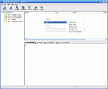 RegCOPA Registry Editor screenshot