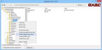 RegeditEx screenshot 2