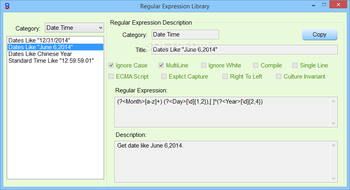 Regex Auto Builder Professional Edition screenshot 11