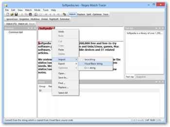 Regex Match Tracer screenshot 2