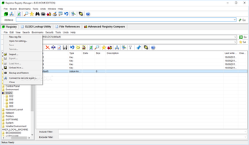 Registrar Registry Manager Home Edition screenshot 2