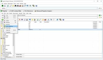 Registrar Registry Manager Home Edition screenshot 3