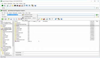Registrar Registry Manager Home Edition screenshot 7