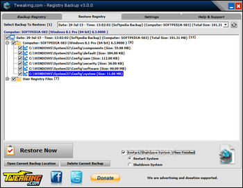 Registry Backup Portable screenshot 2
