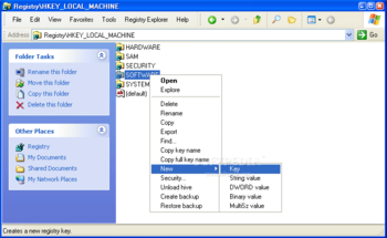 Registry Explorer screenshot 3