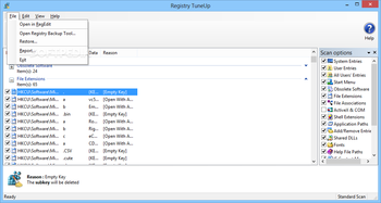 Registry TuneUp screenshot 2