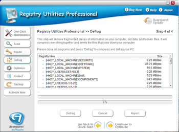 Registry Utilities Professional screenshot 4