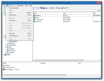 RegMagiK Registry Editor screenshot 2