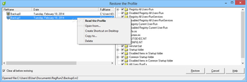 RegRun Security Suite Platinum screenshot 16