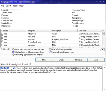 RegSupreme Pro screenshot 4