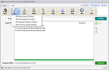 Reincubate Video Converter screenshot 3