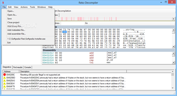 Reko Decompiler screenshot 4